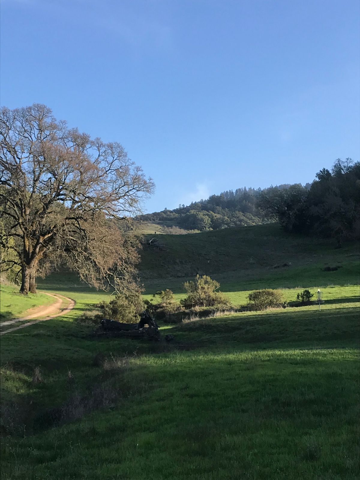 Hole 14 fairway