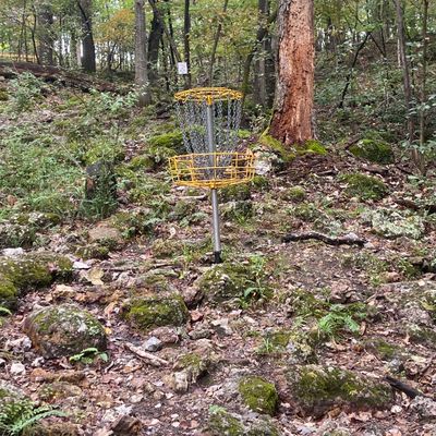 Basket on elevated hole 8
