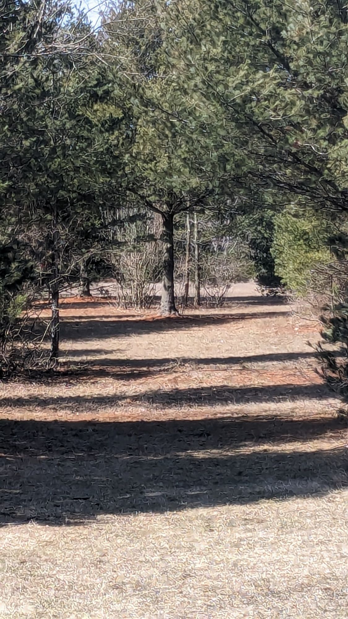 Hole 17-fairway