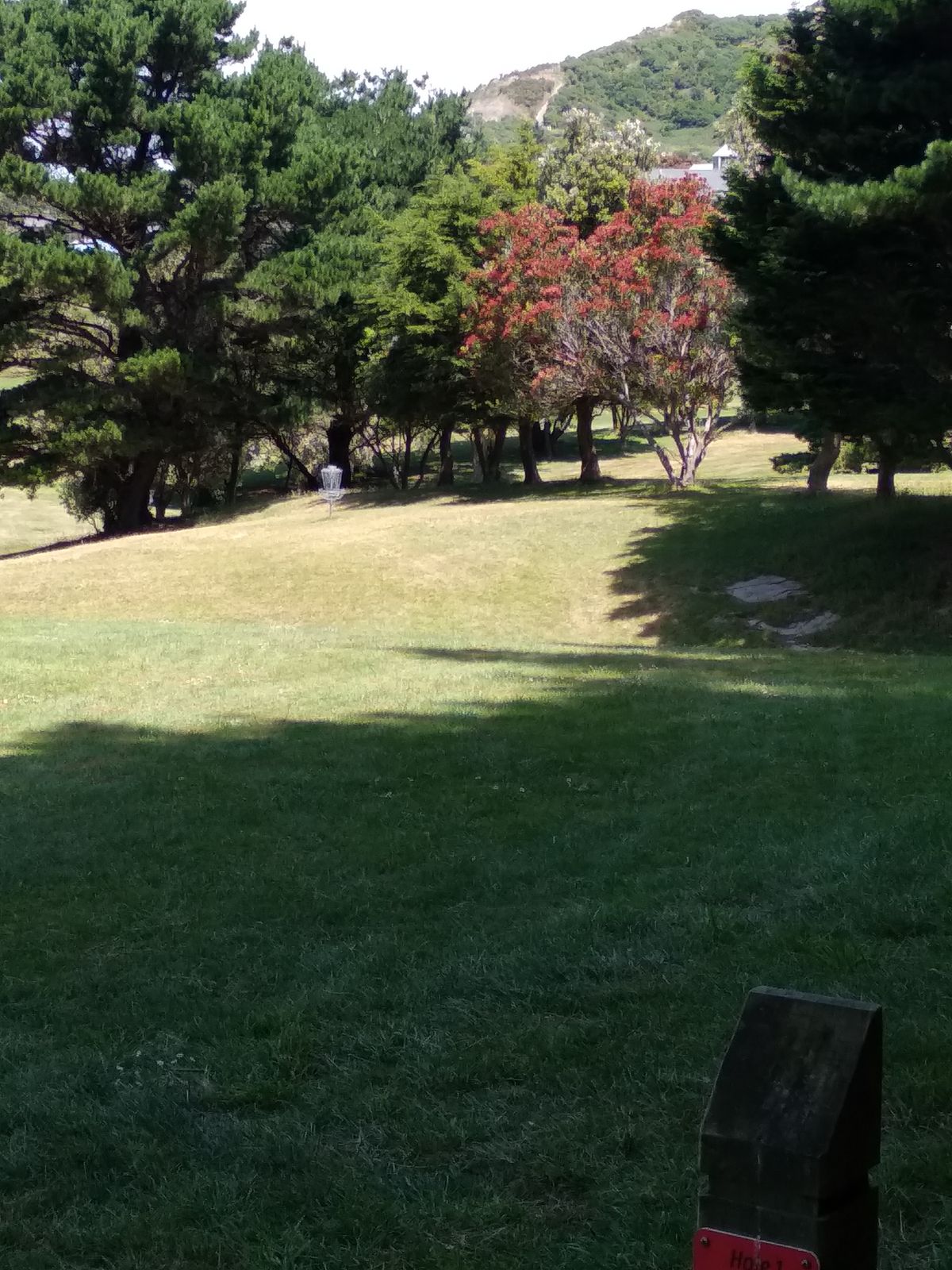 Hole 1 from regular tee pad