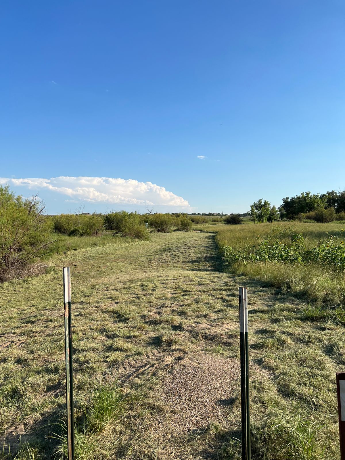 Hole 7 Tee