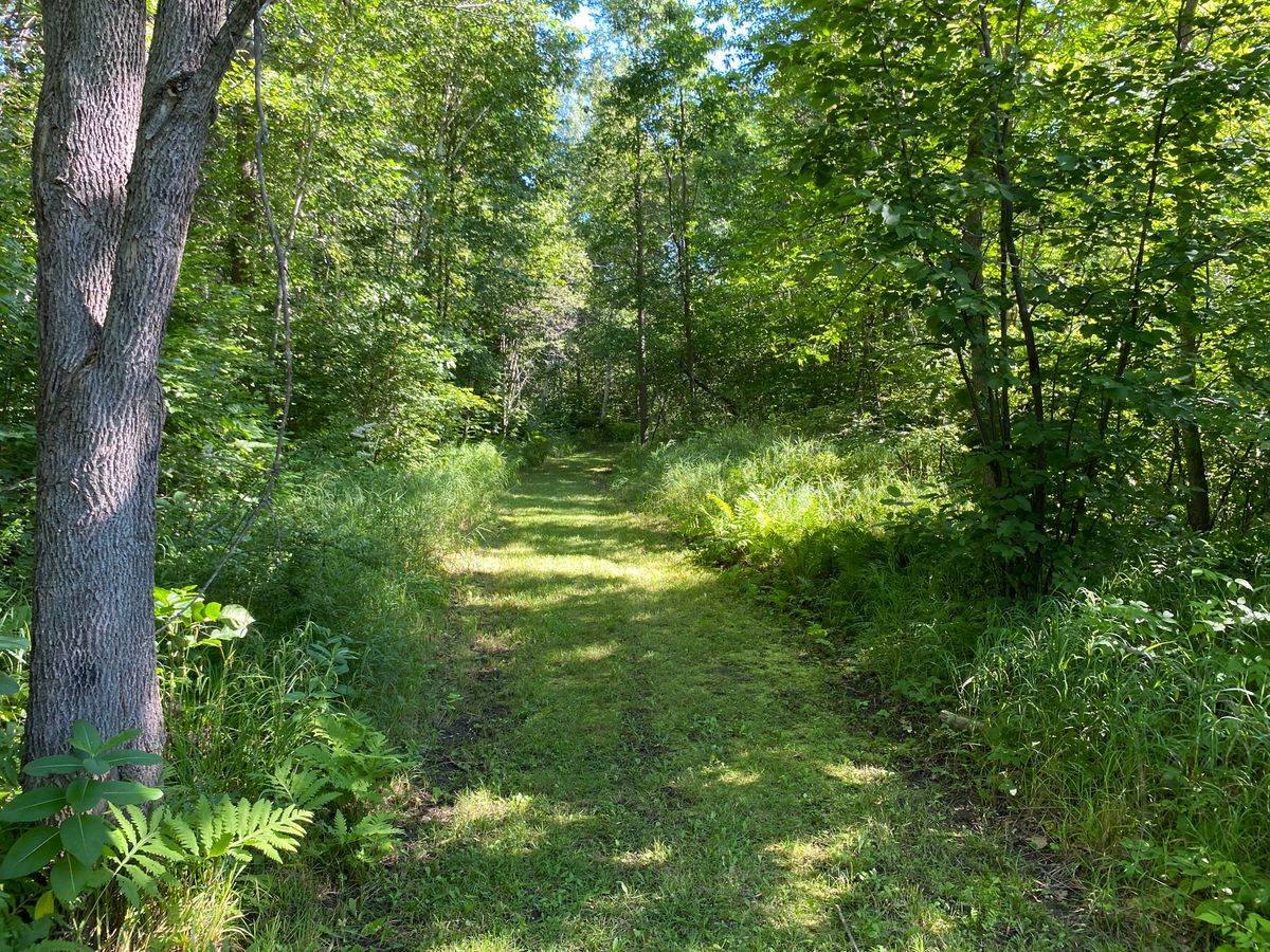 Pathway from hole 2 to 3