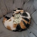 User avatar image