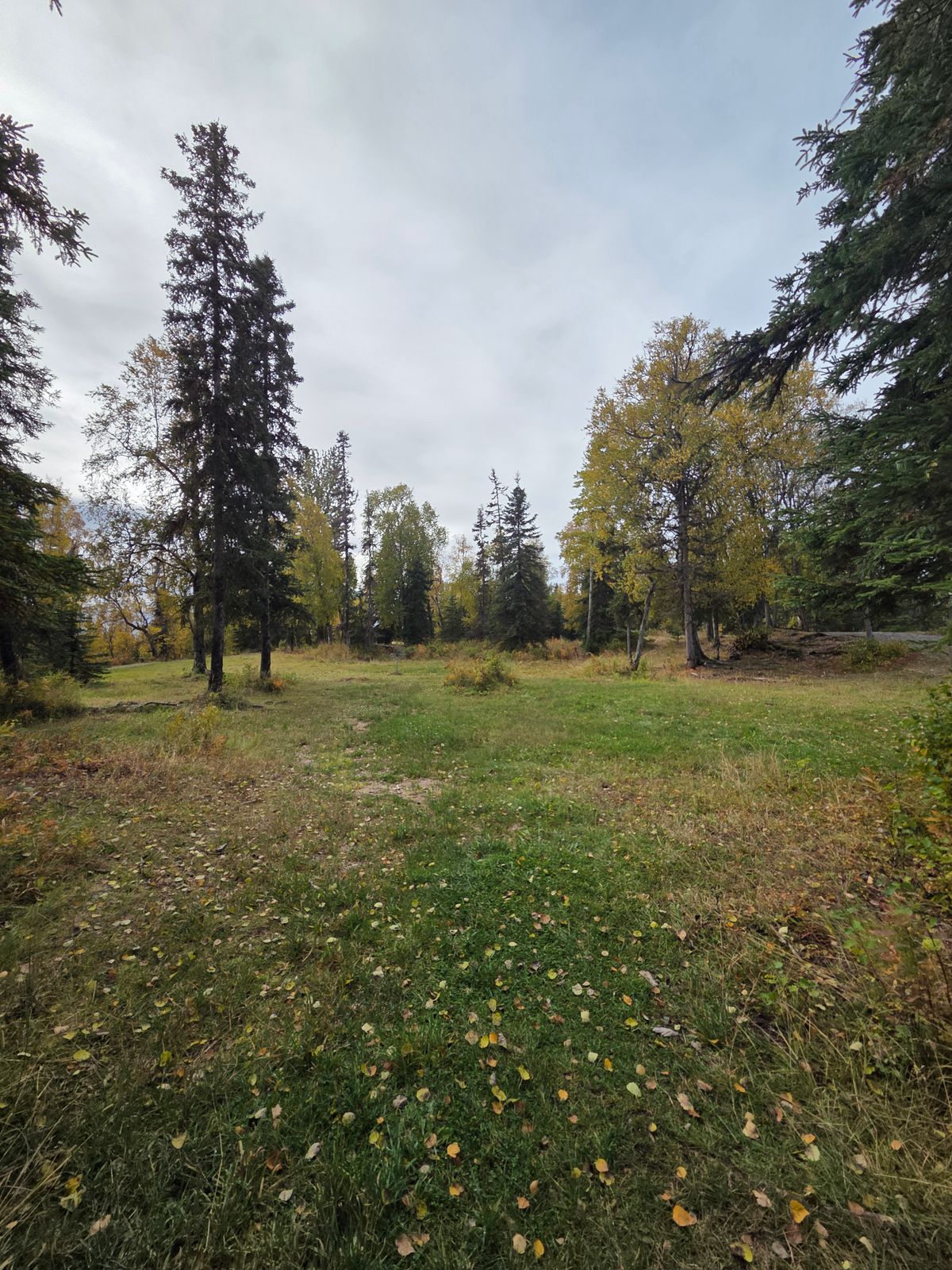 #18 fairway and basket location