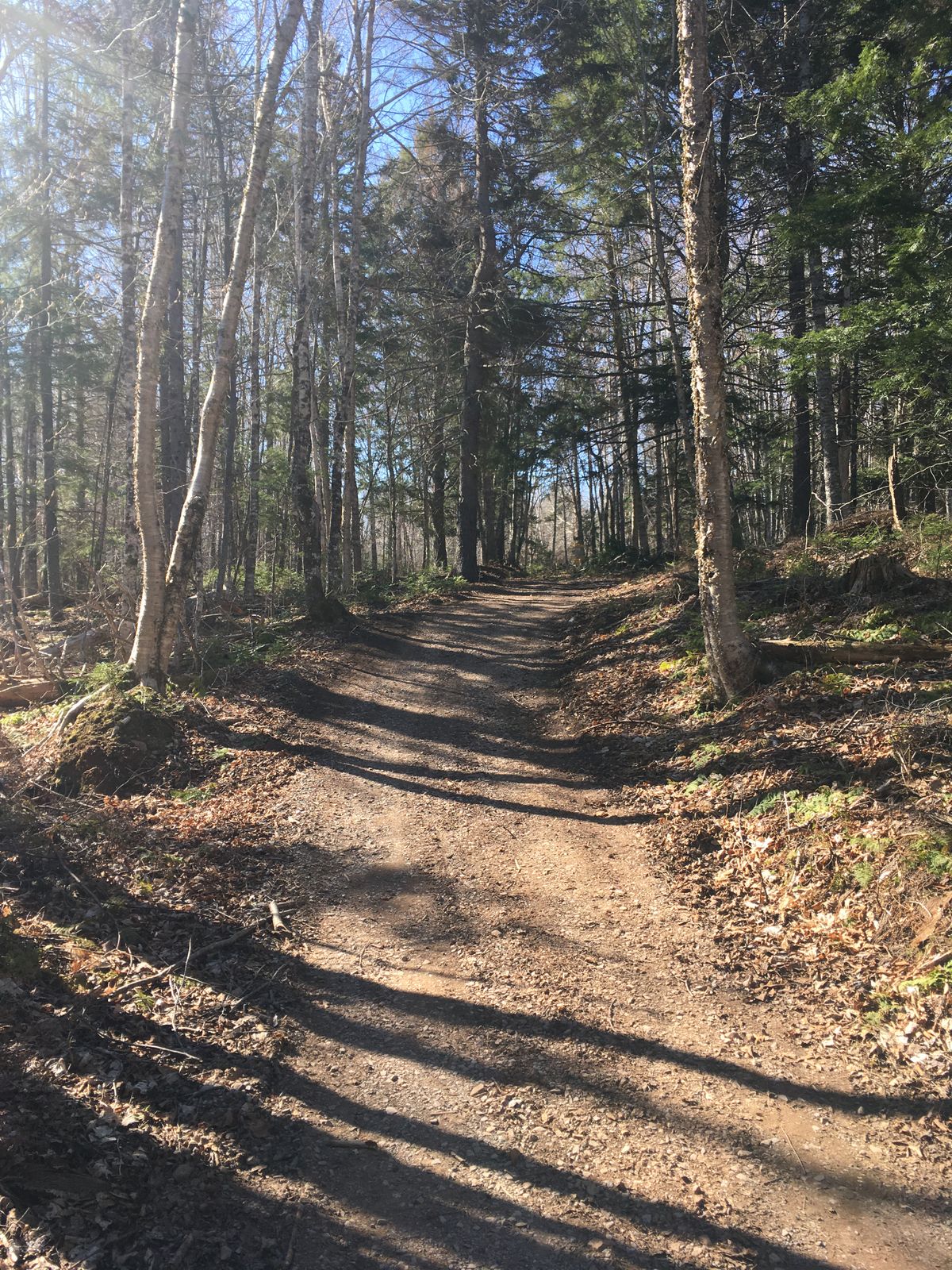 Hole 3
