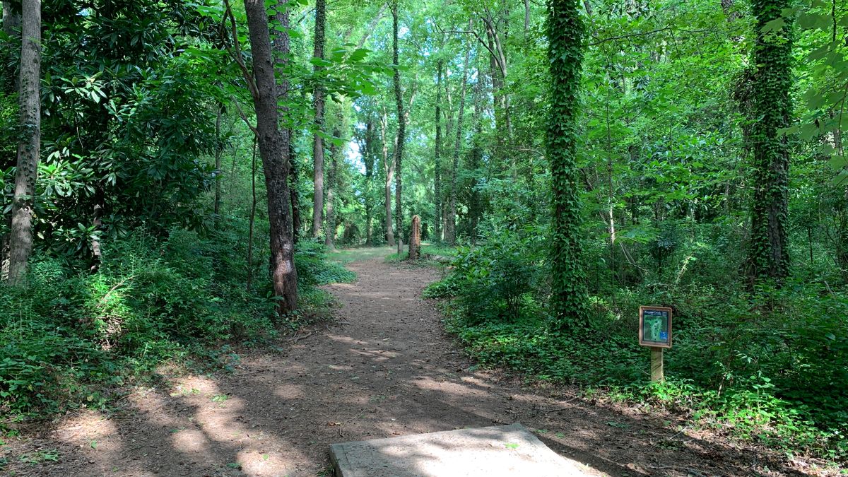 Hole 5