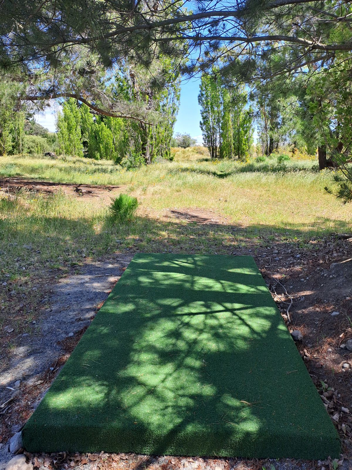 Hole 16 has 2 baskets for blue and red layouts.