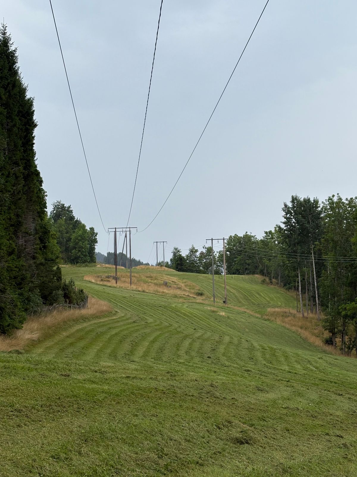 Fairway på hull 6 og 8