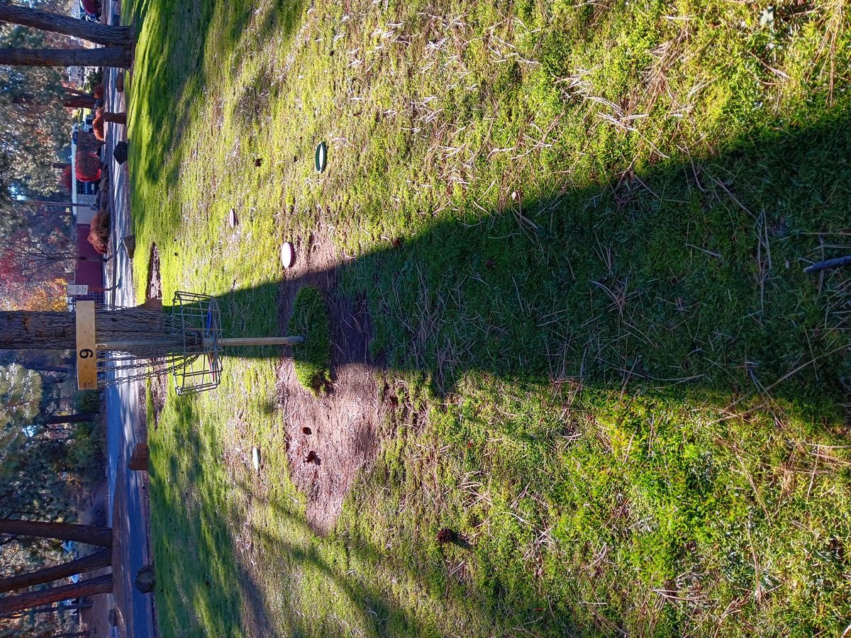 Good shade for no.9 put. 4:44pm 10/25/24