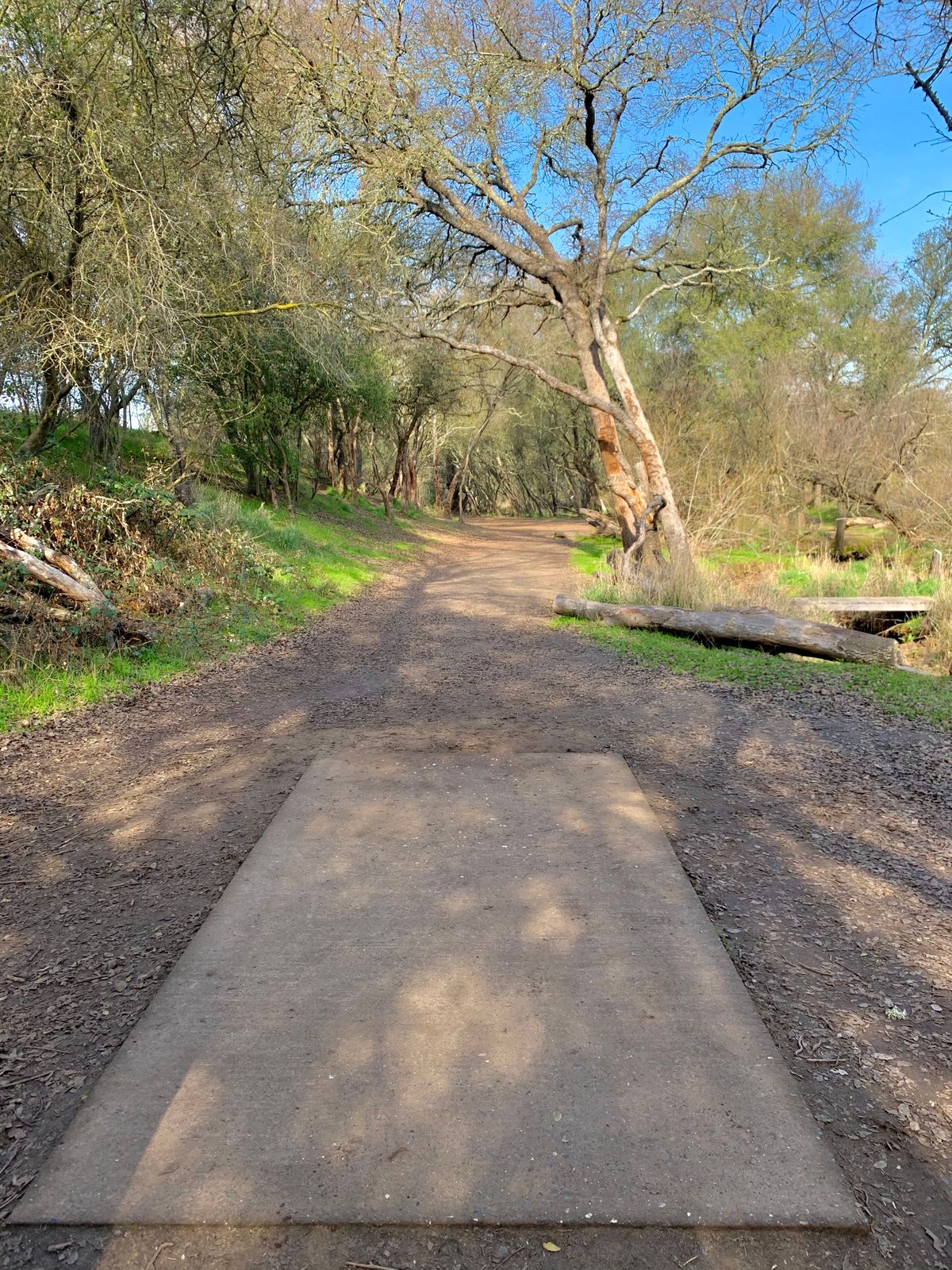 Teepad, hole 7.