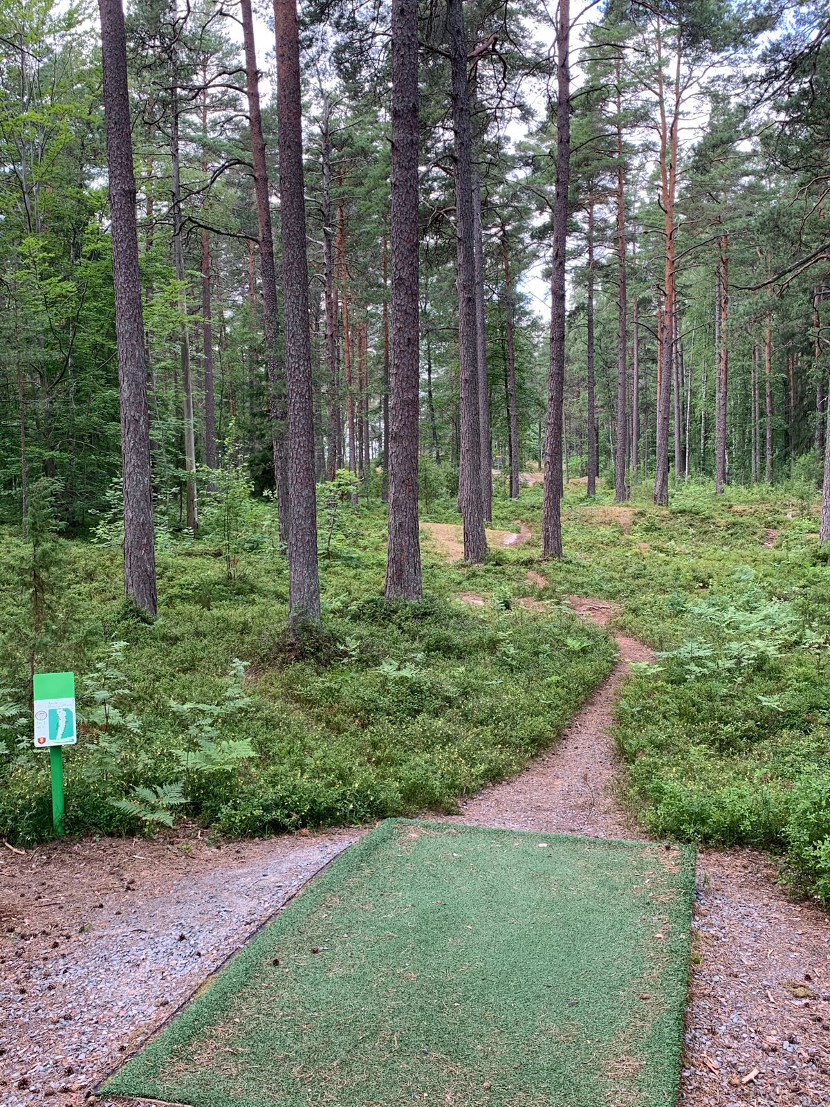 Seventh hole.