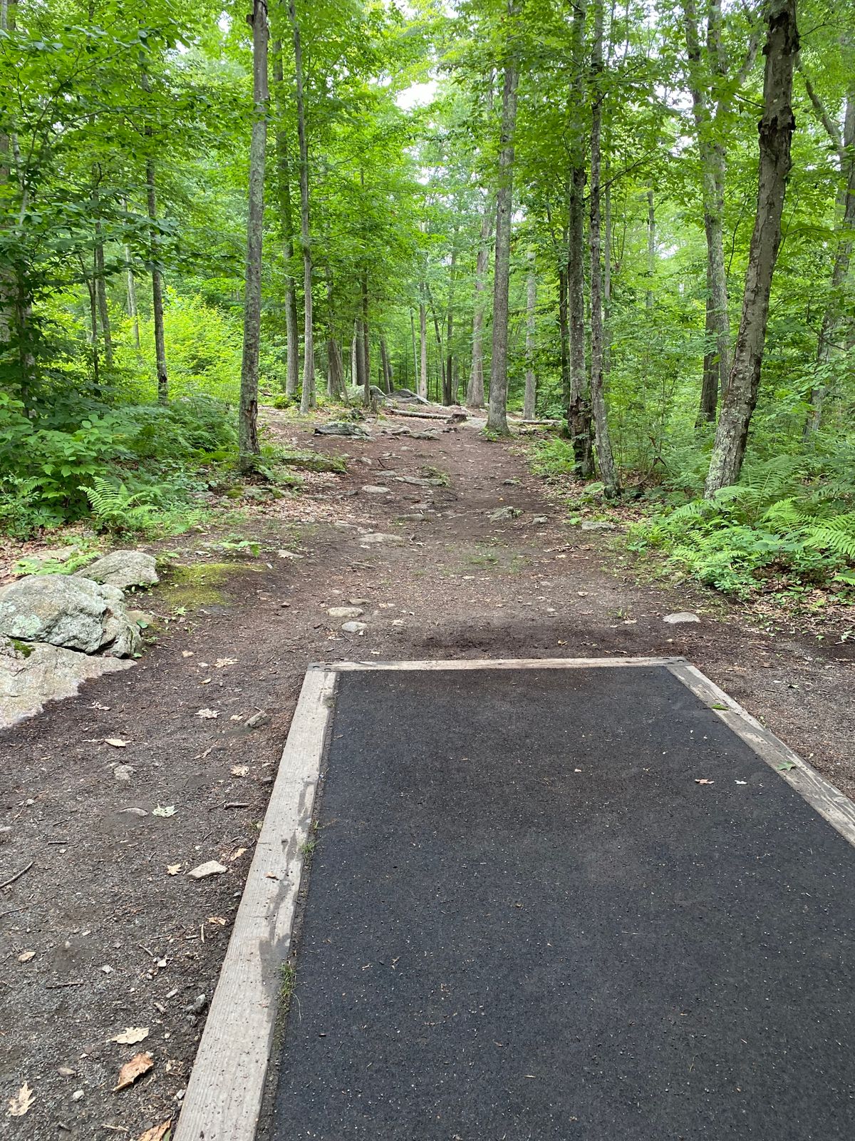 Hole 2