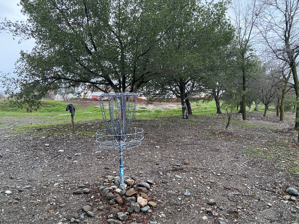 Hole 4 basket