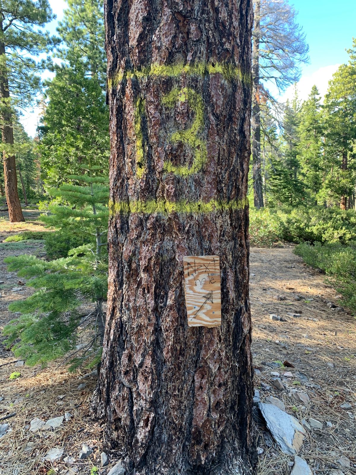 Hole 3 with signage to next tee box