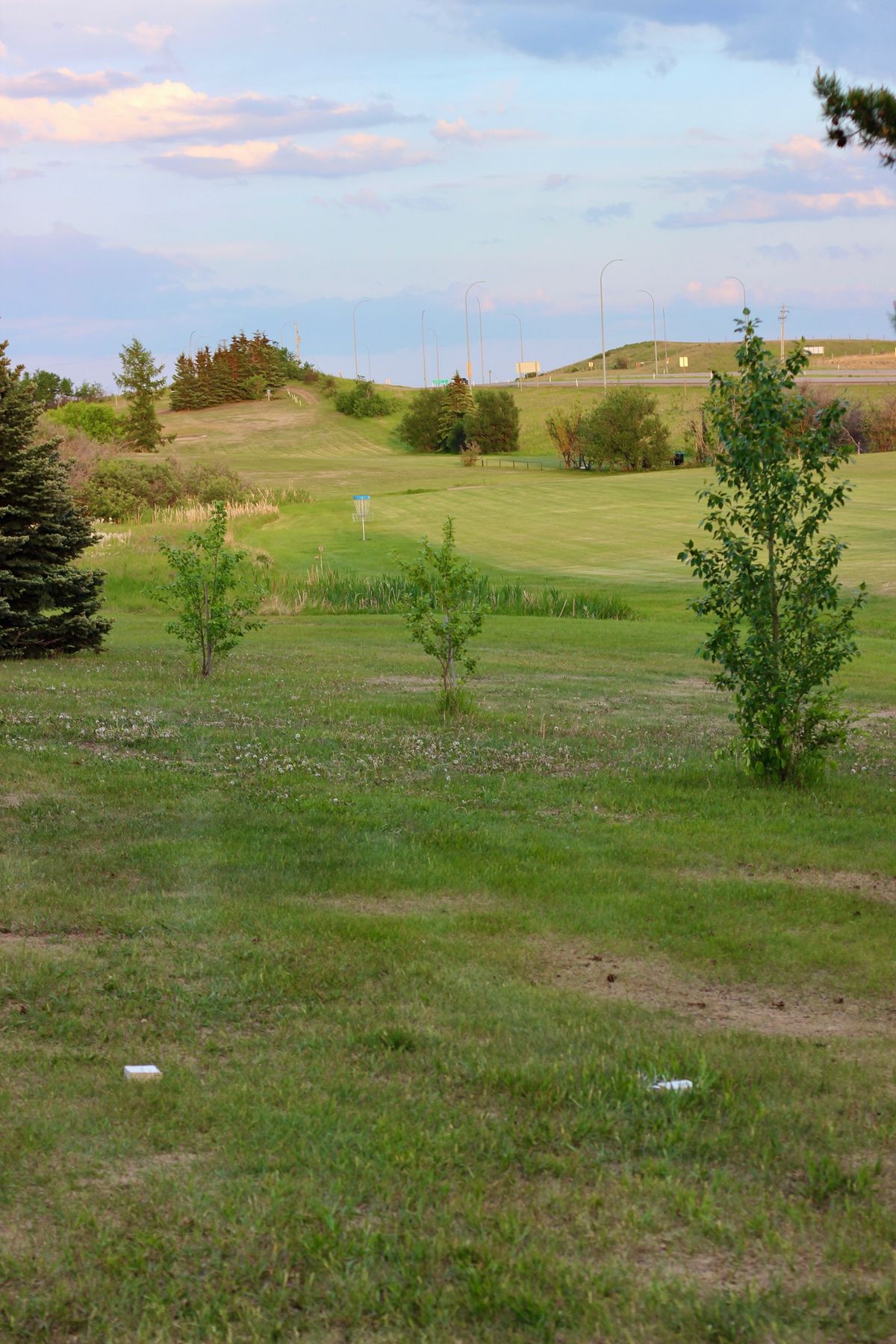 White Tee - Fairway