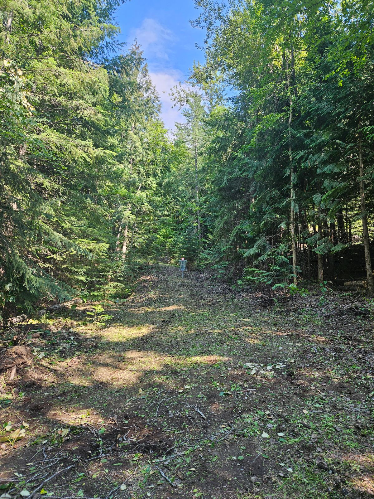 Hole 10 Alternative placement Par 4