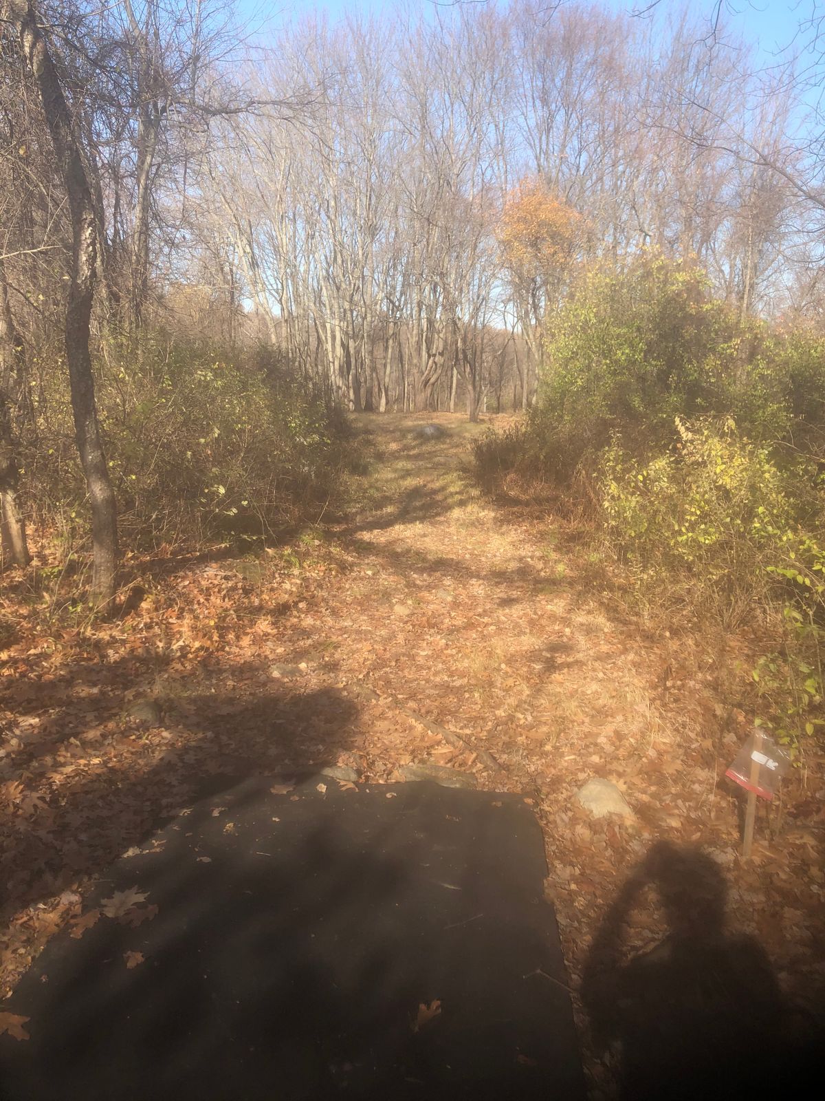 5th or 6th tee...I forget