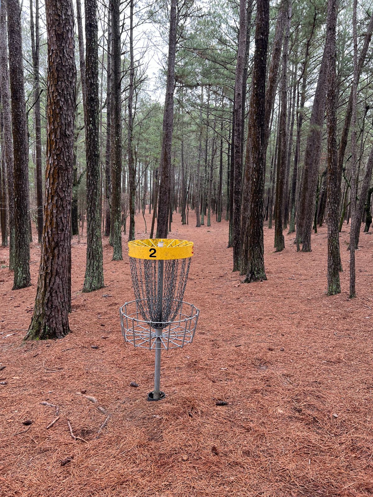 Hole 2 green