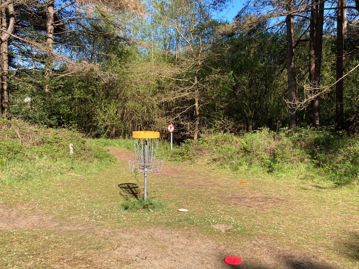Putting at hole 7
