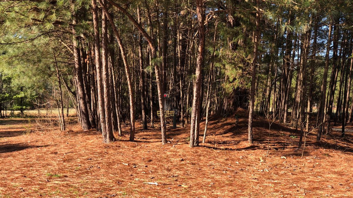 Hole 5