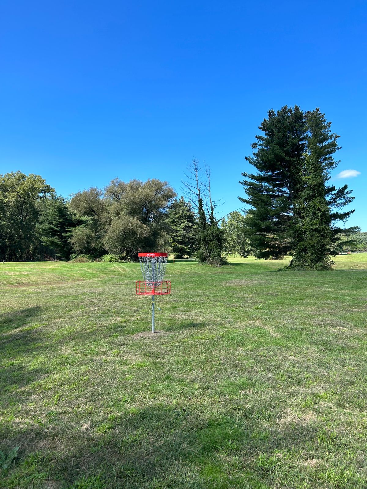 Hole 11