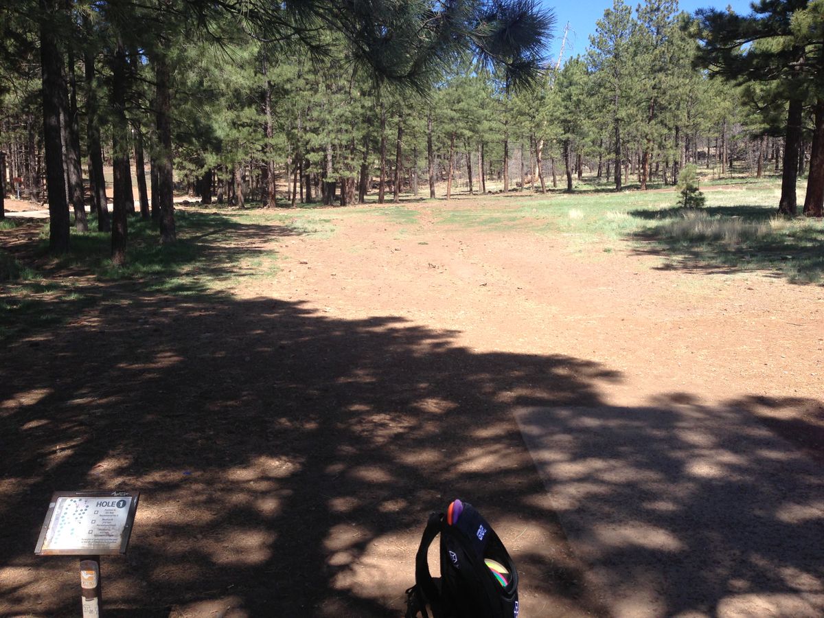 Hole 1