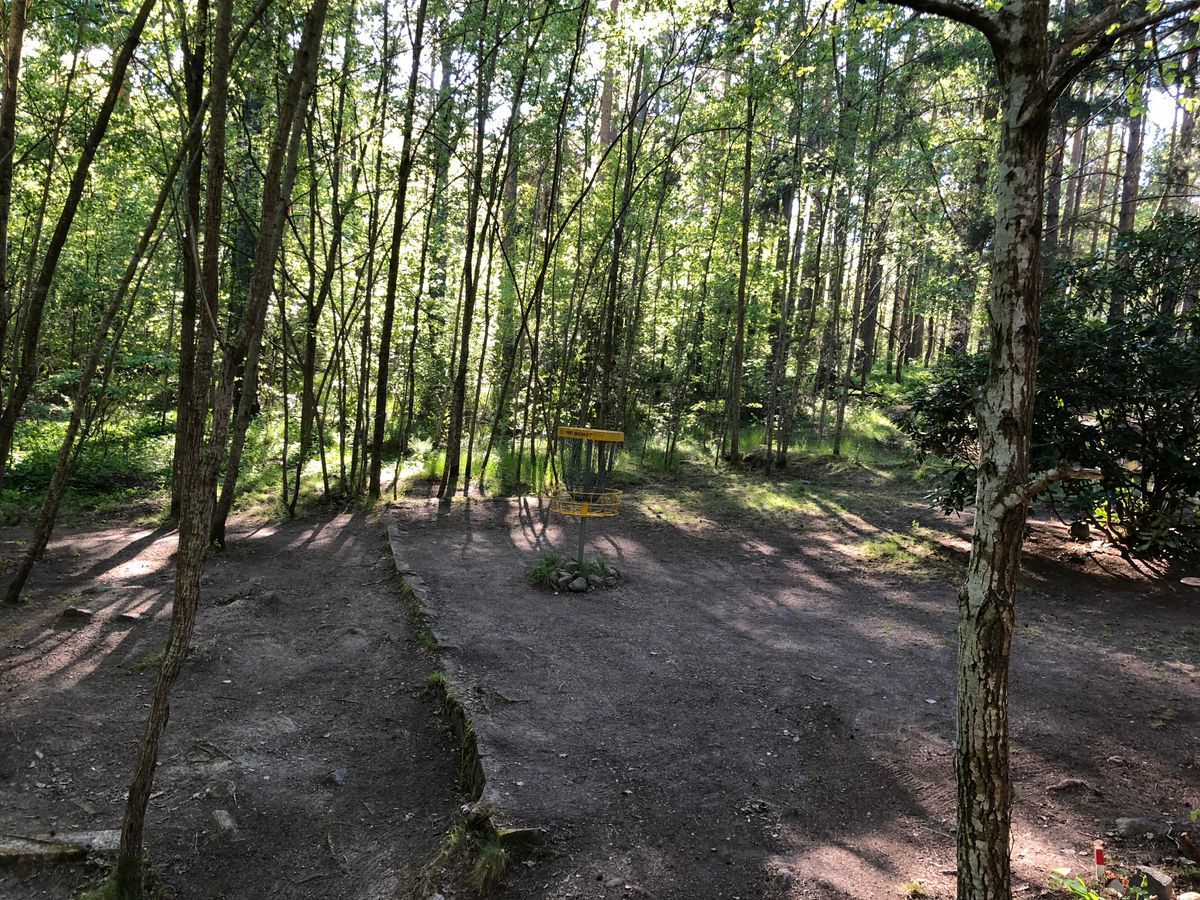 Hål 8 green