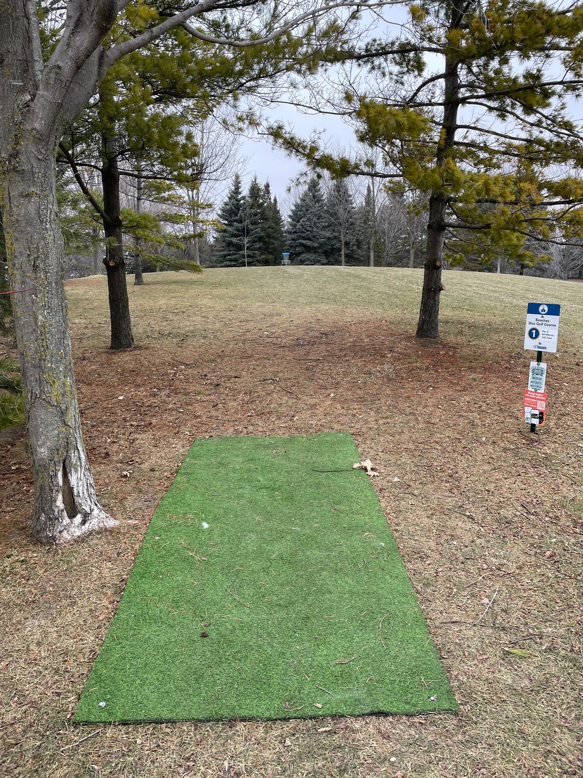 Hole 1 tee with view of basket up the hill.