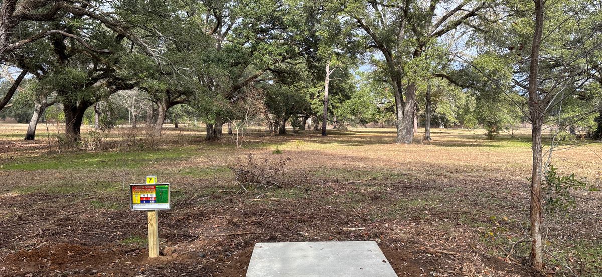 Tee 7