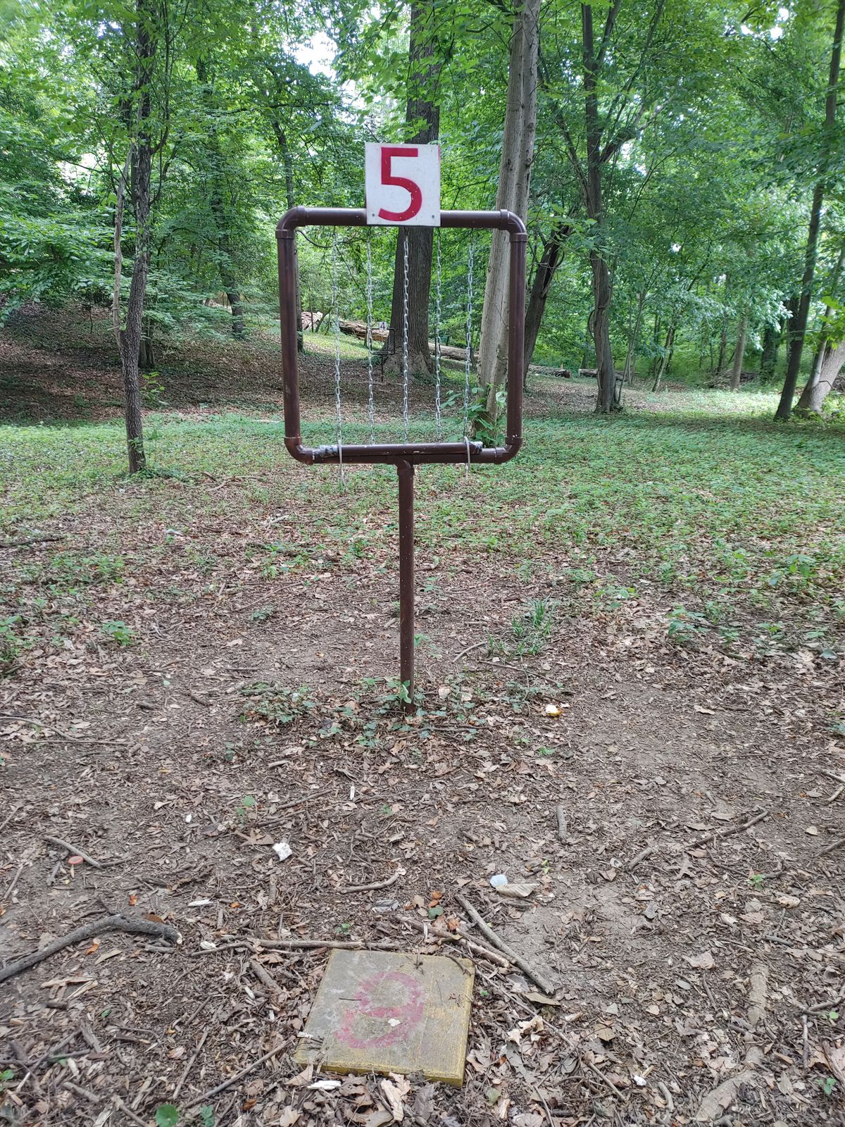 Fifth basket