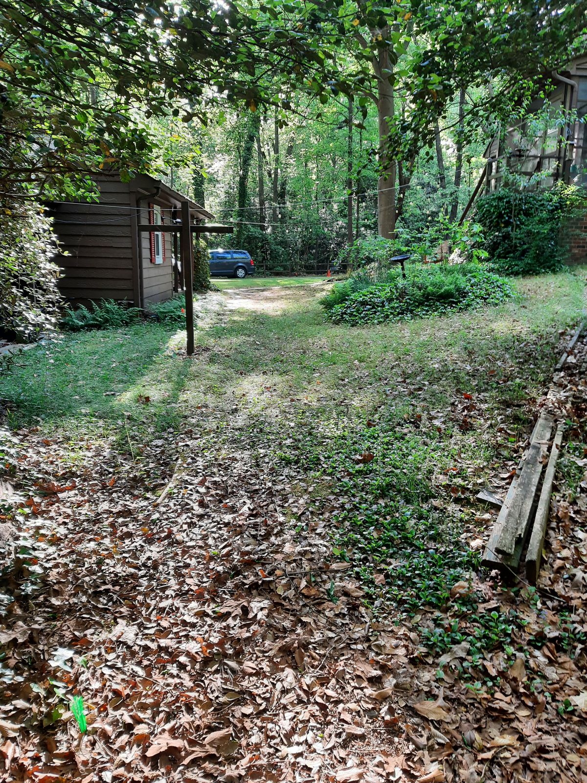 Hole 7 Gold Tee