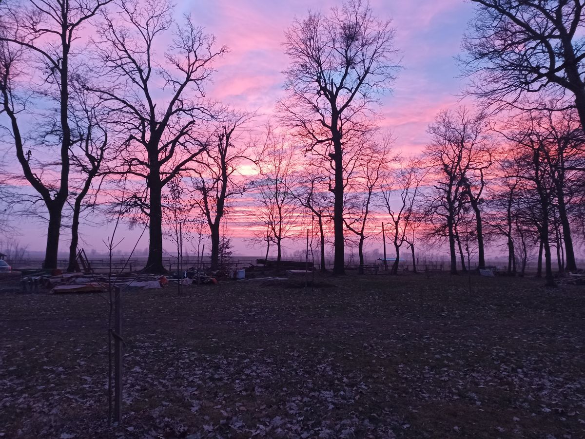 Best sunset ever