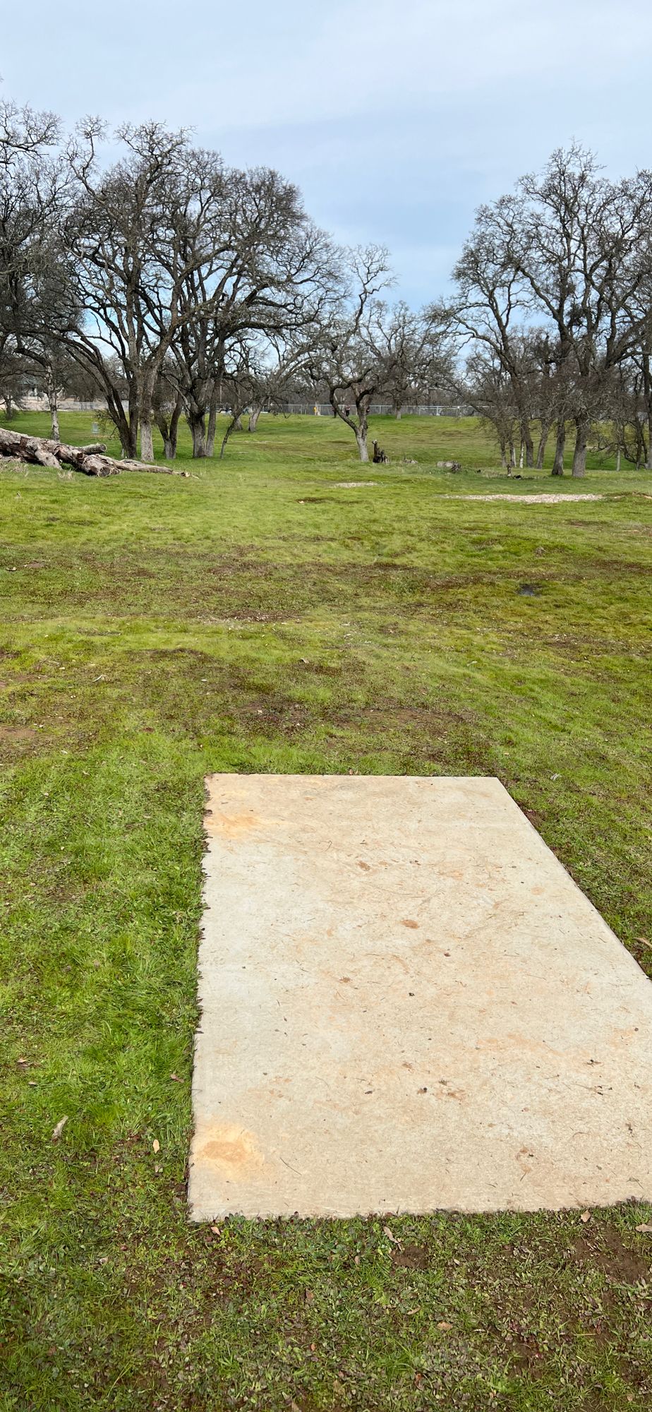 Hole 12