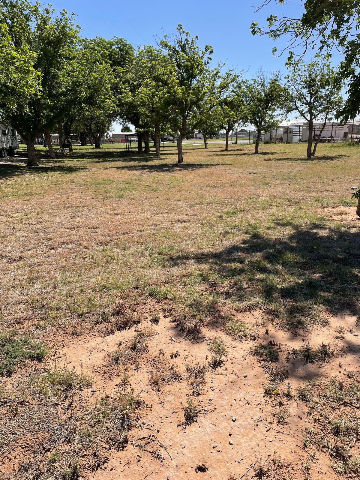 Pin 9. Trees galore. Disk navigation system needed, again. 😉