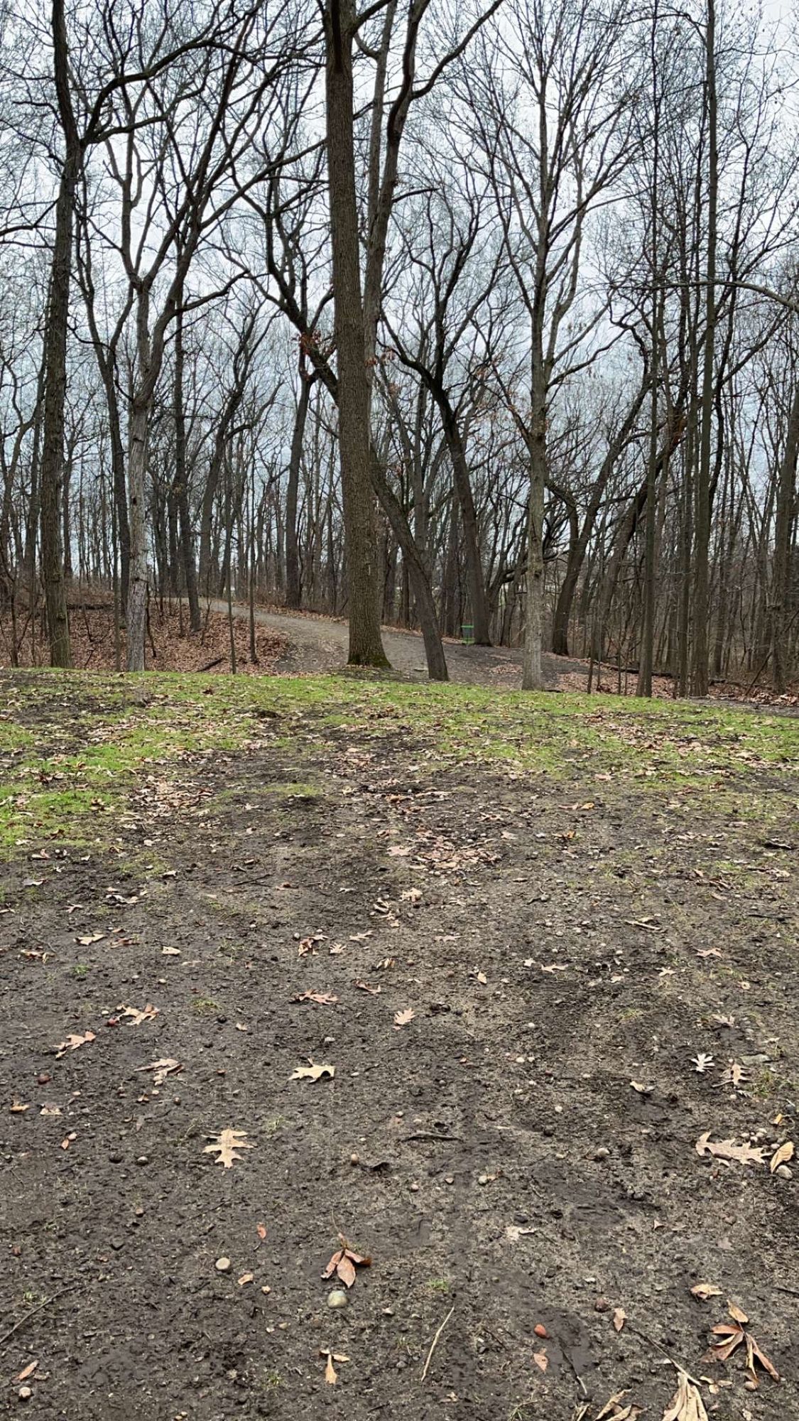 Hole 11