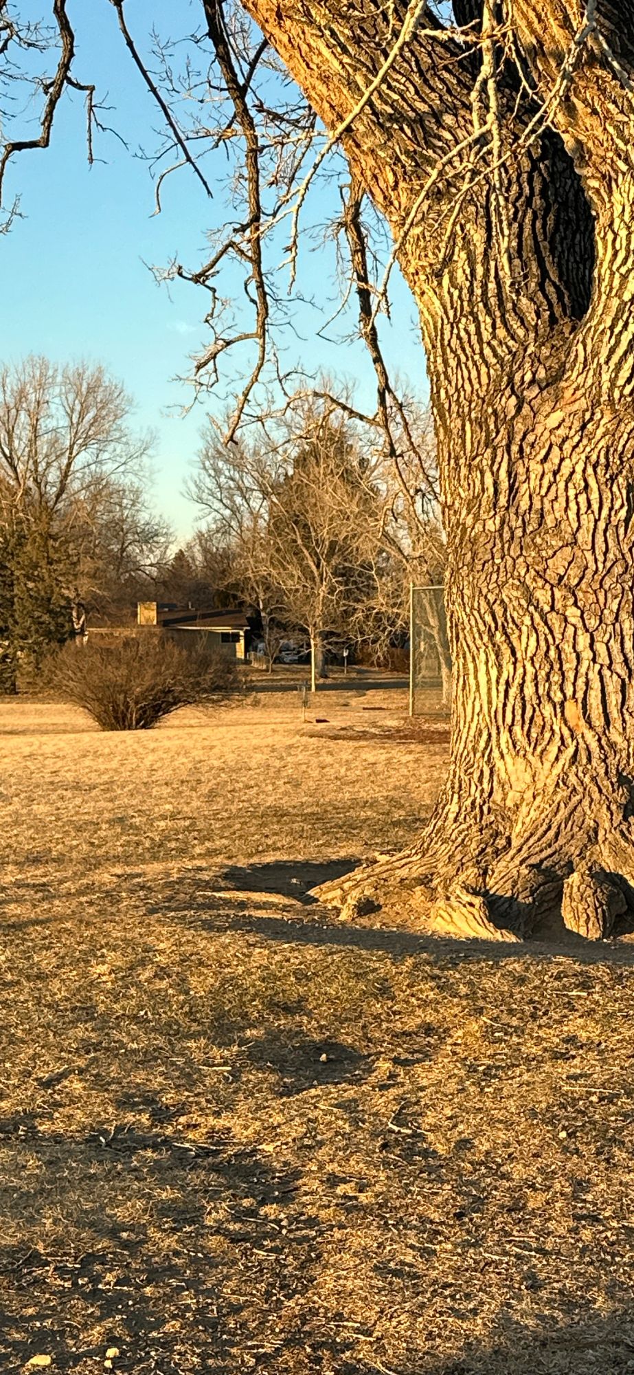 Hole one… notice the missing bush behind the tennis court!