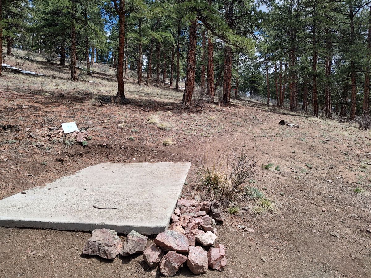 Hole 8