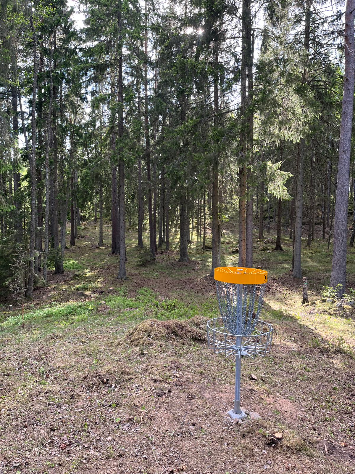 Hål 14