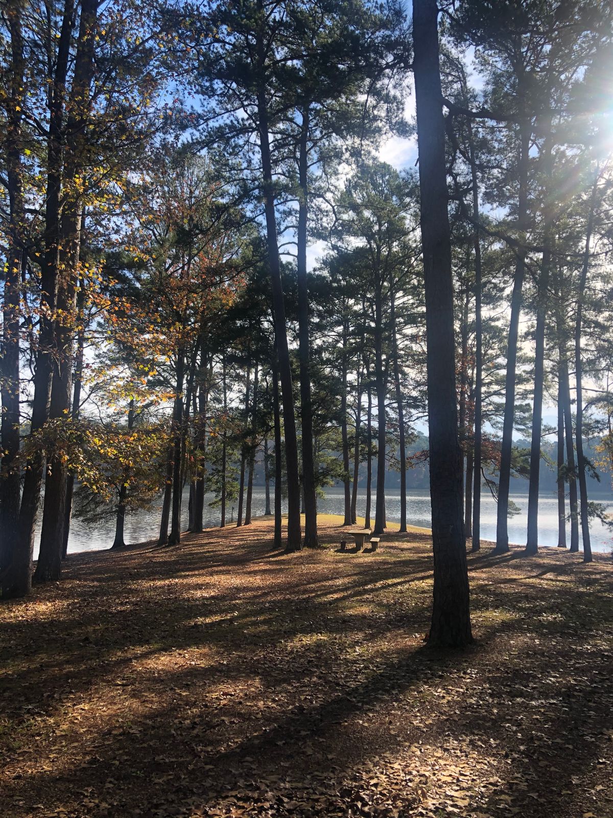 Hole 10A