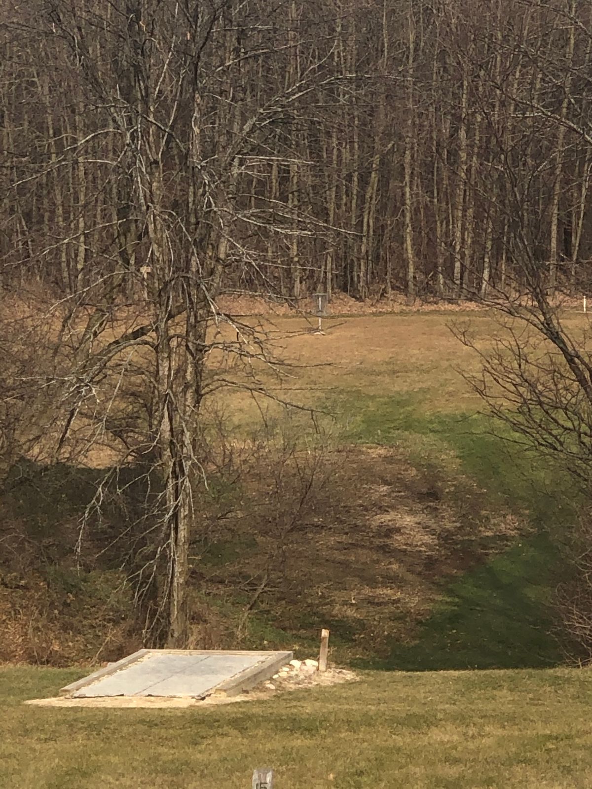 Hole 15