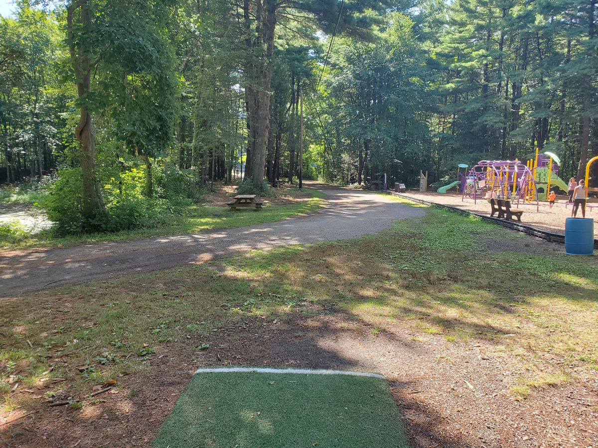 Hole 8. Again, throwing over a busy playground.