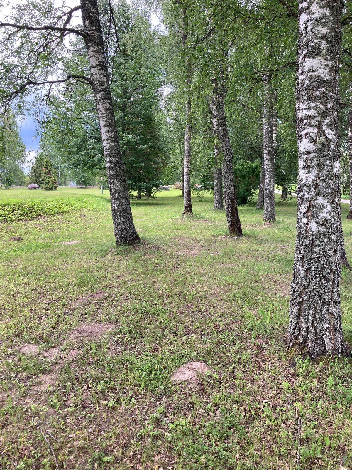 Tee 4