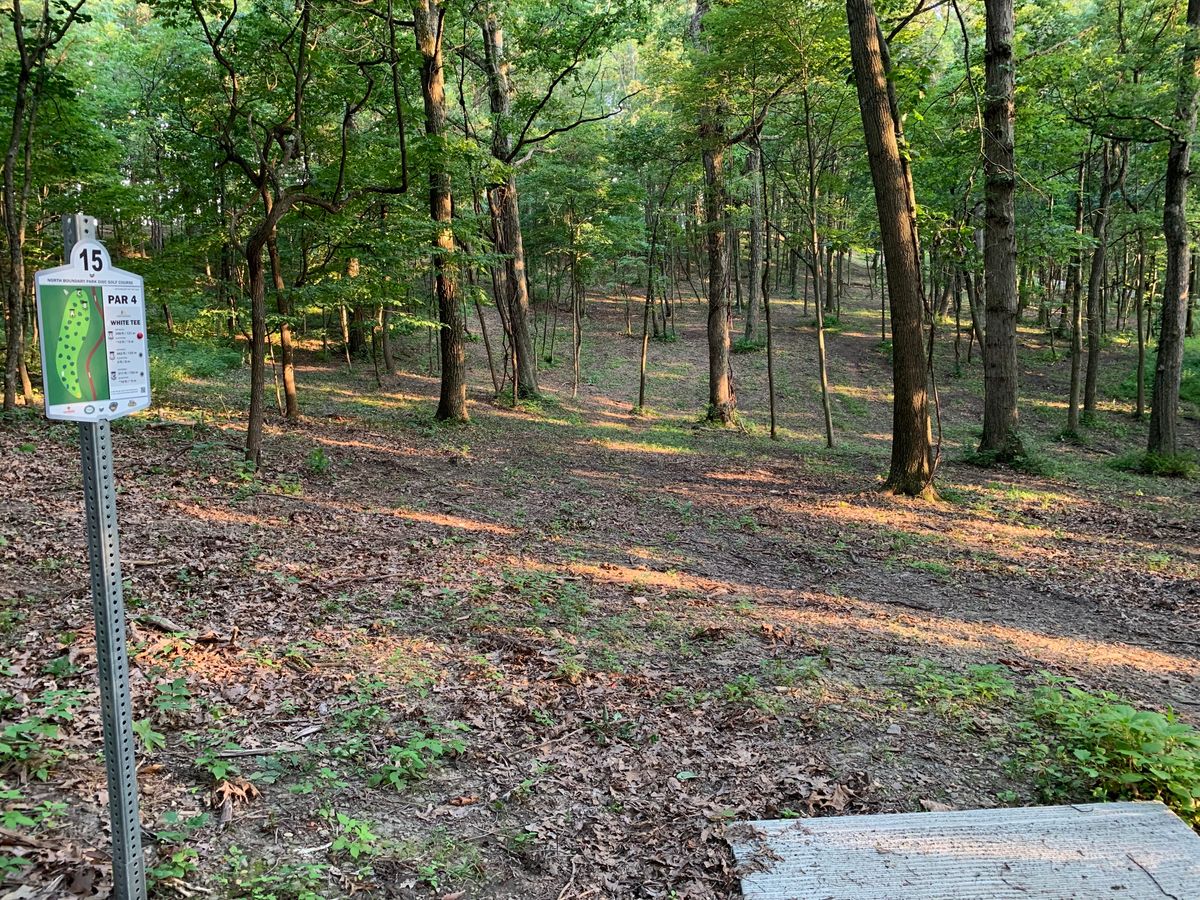 Hole 15 white tee