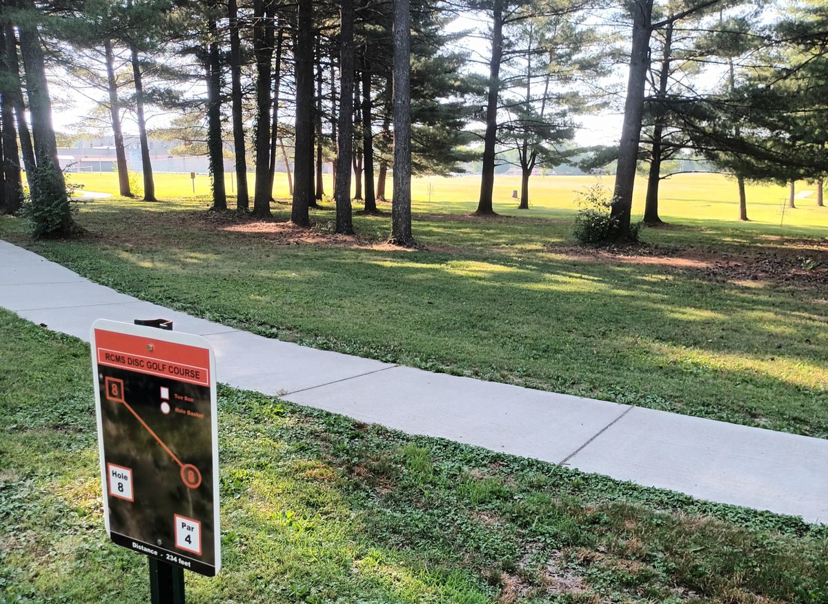 Hole 8. Basket straight ahead through tree gap