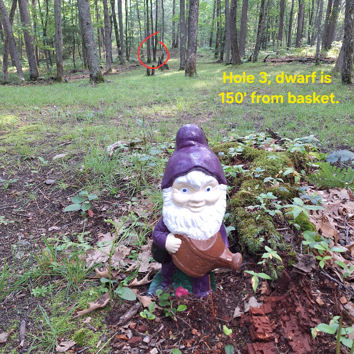 We've added some dwarves on the course to mark 150' from basket.