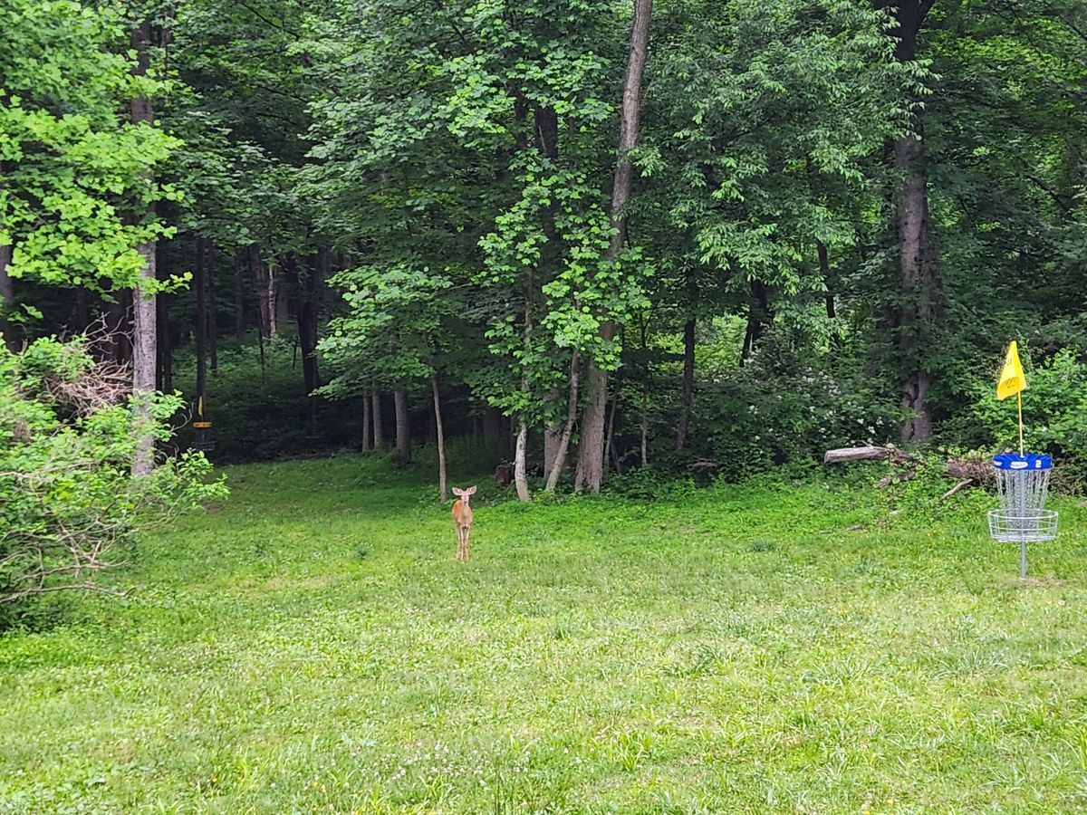 Hole 2