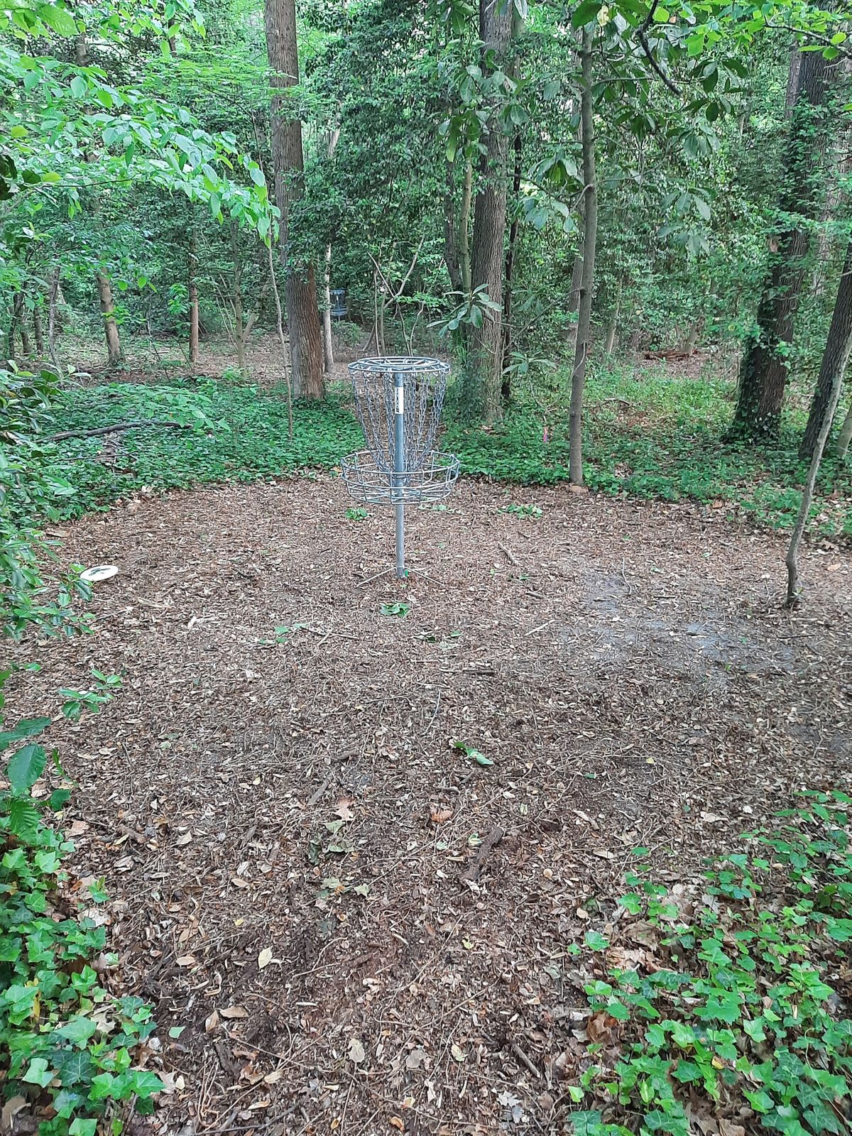 Hole 12 Green