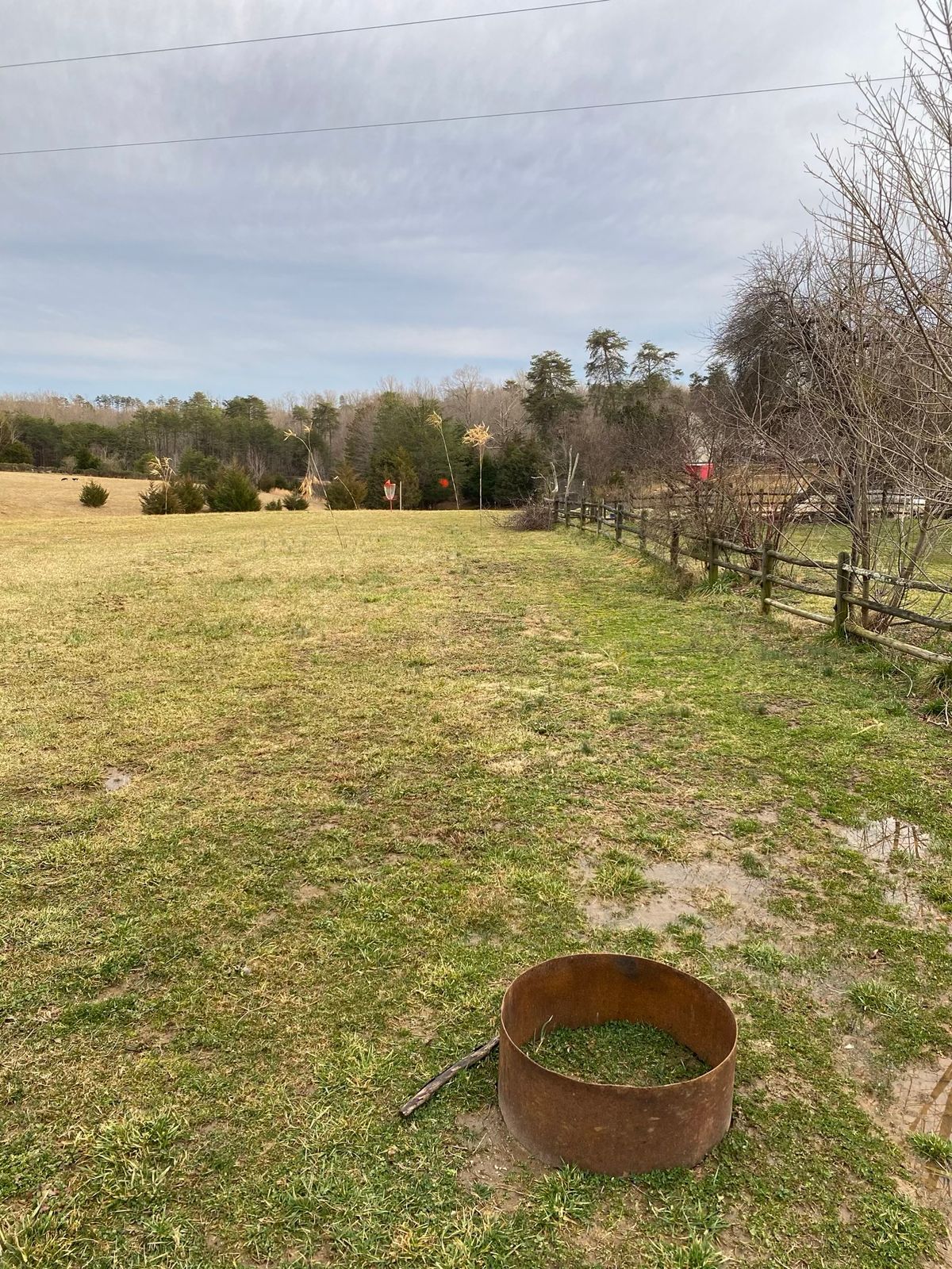 Basket is at red dot in woods