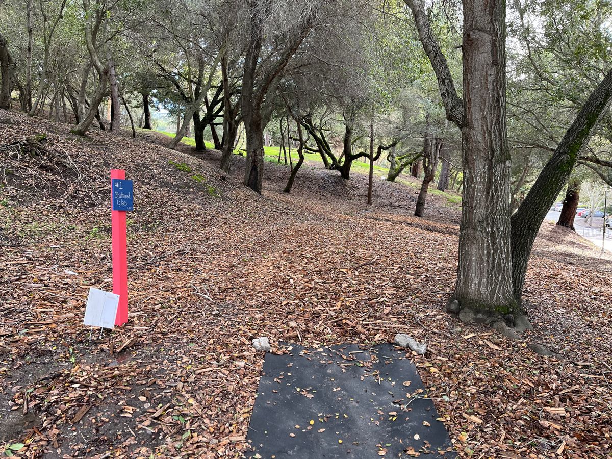 Hole #1 tee pad.