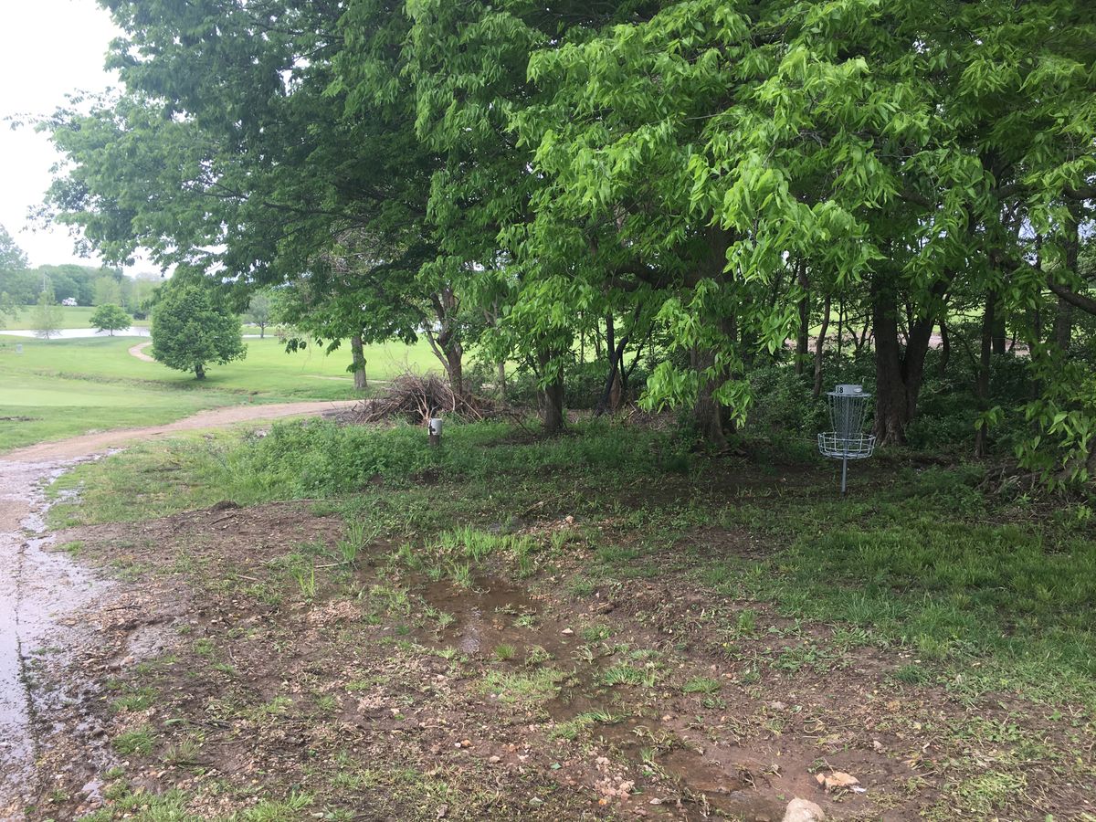 Hole 18 basket